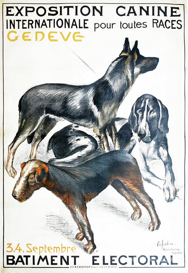 Vintage Poster Dog Show Painting by Mindy Sommers