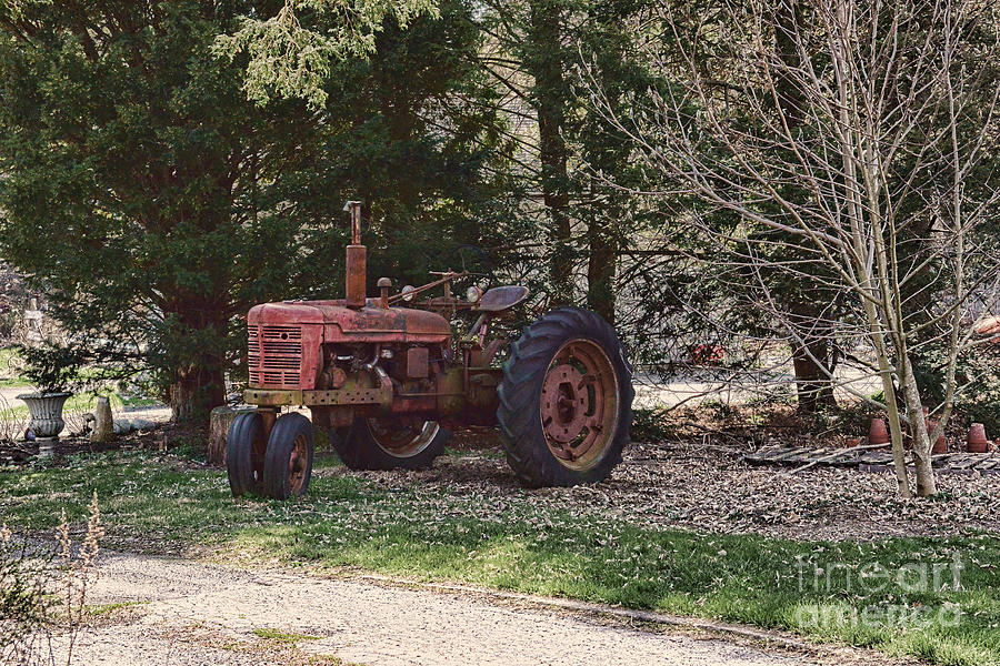 Vintage Red Tractor Photograph by Paul Ward