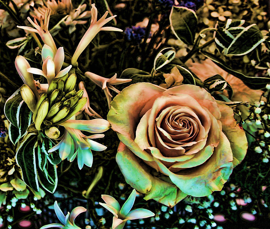 Vintage Digital Art - Vintage Rose by Cathy Harper