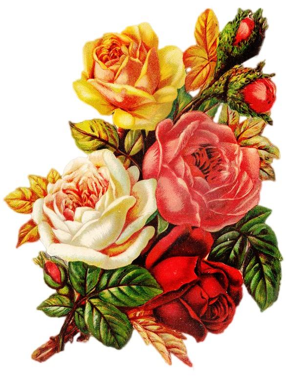 Vintage Rose I Digital Art by Kim Kent