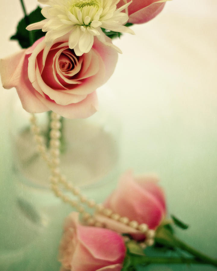 Vintage Rose Photograph by Lana Trussell