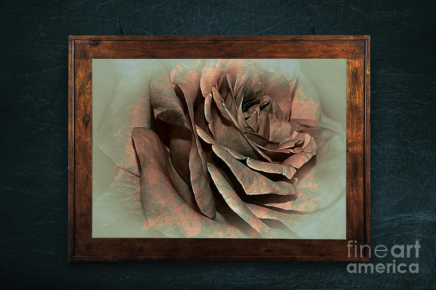 Vintage Photograph - Vintage Rose on Old Wall 2 by Kaye Menner by Kaye Menner