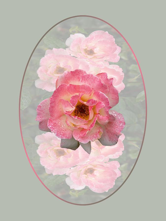 Vintage Rose Vertical Photograph by Gill Billington