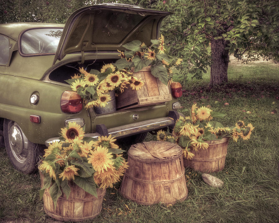 Vintage Saab and Sunflowers 2 Photograph by Joann Vitali