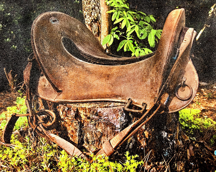 Vintage Saddle Photograph
