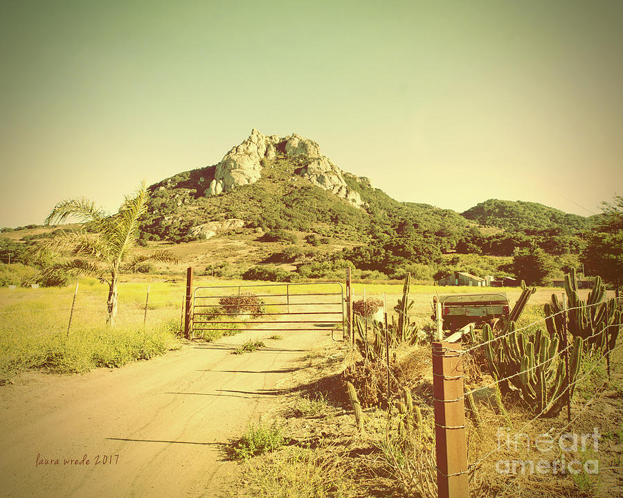 Vintage San Luis Obispo California Seven Sisters  Photograph by Artist and Photographer Laura Wrede
