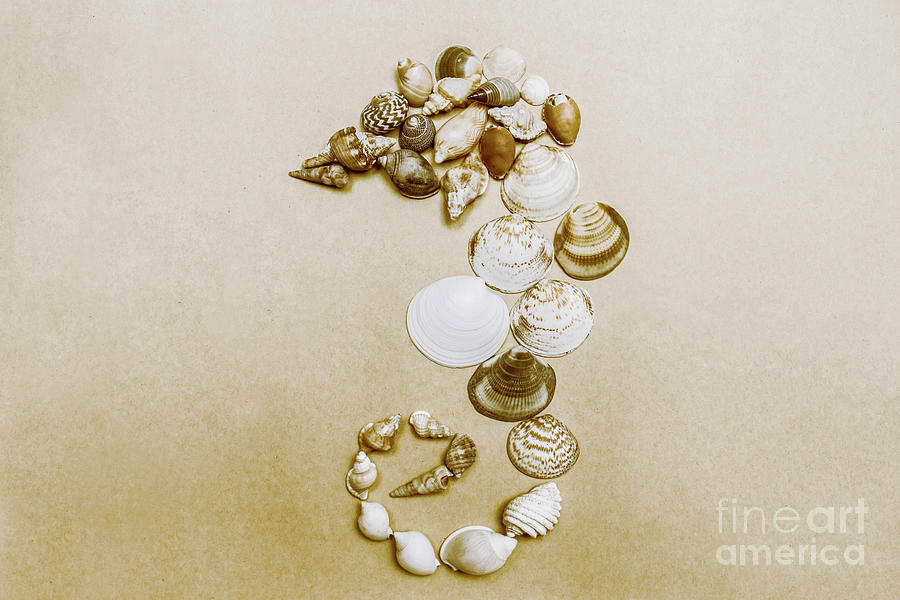Vintage seahorse made of sea shells Photograph by Jorgo Photography