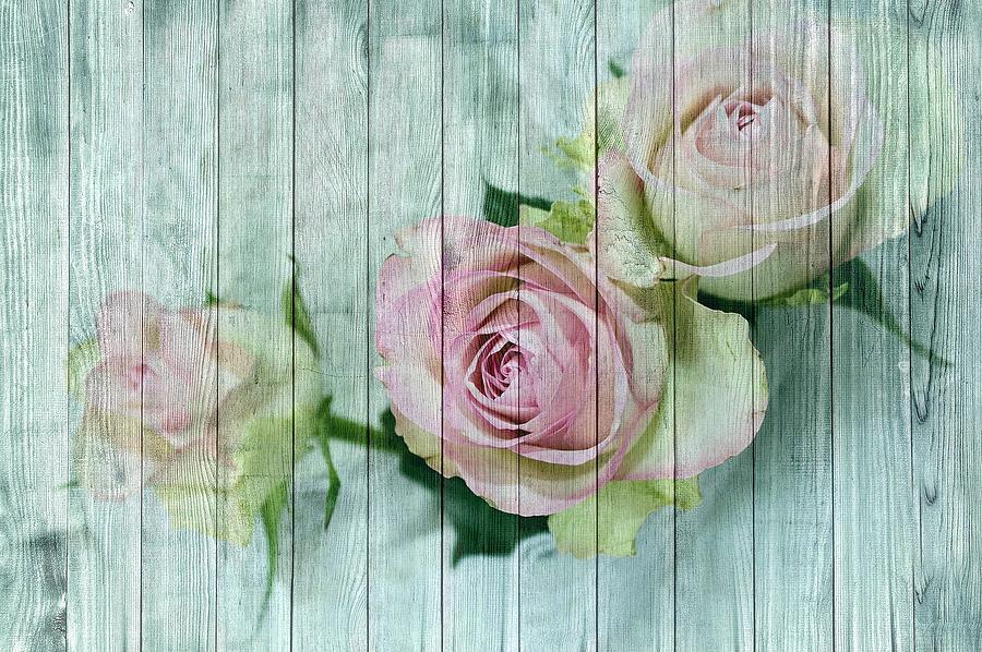 Vintage Shabby Chic Pink Roses On Wood Painting by Joy of Life Art