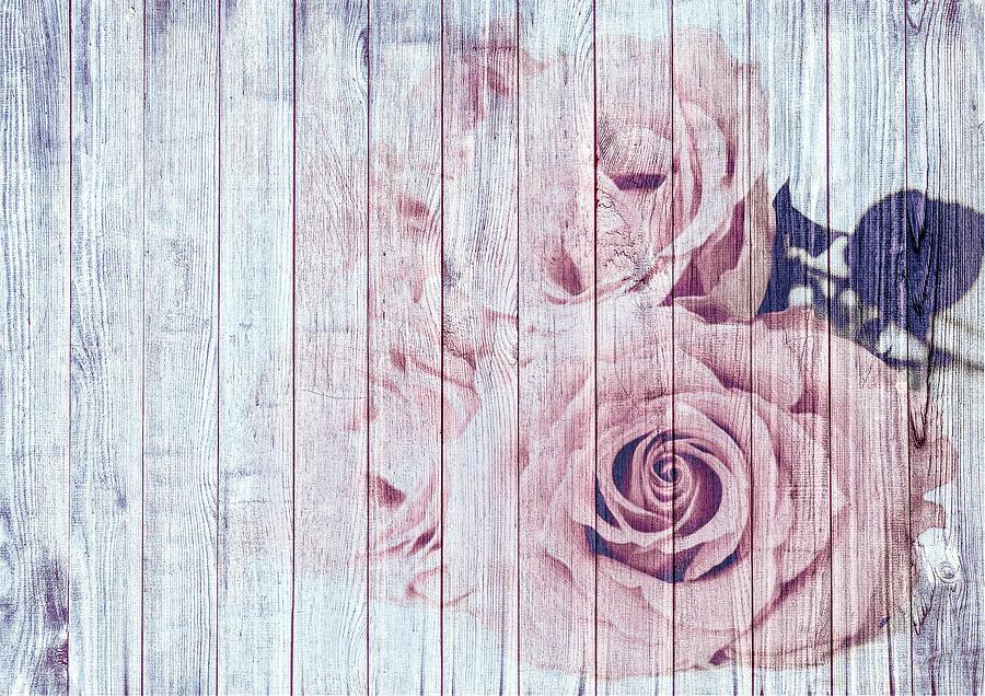 Họa tiết hoa hồng vintage shabby chic: Bạn đam mê vẻ đẹp của những đóa hồng cổ điển, và muốn tìm kiếm một họa tiết hoa hồng như vậy để dùng nội thất? Với họa tiết hoa hồng vintage shabby chic tràn đầy nữ tính và tinh tế này, bạn sẽ không bao giờ hối tiếc vì lựa chọn mình.