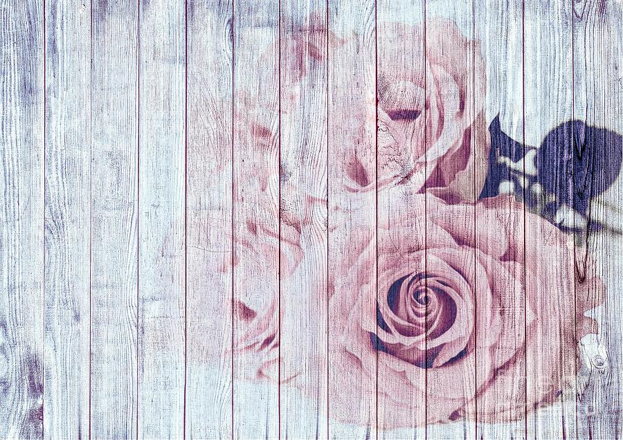 Vintage Shabby Chic Rose Painting