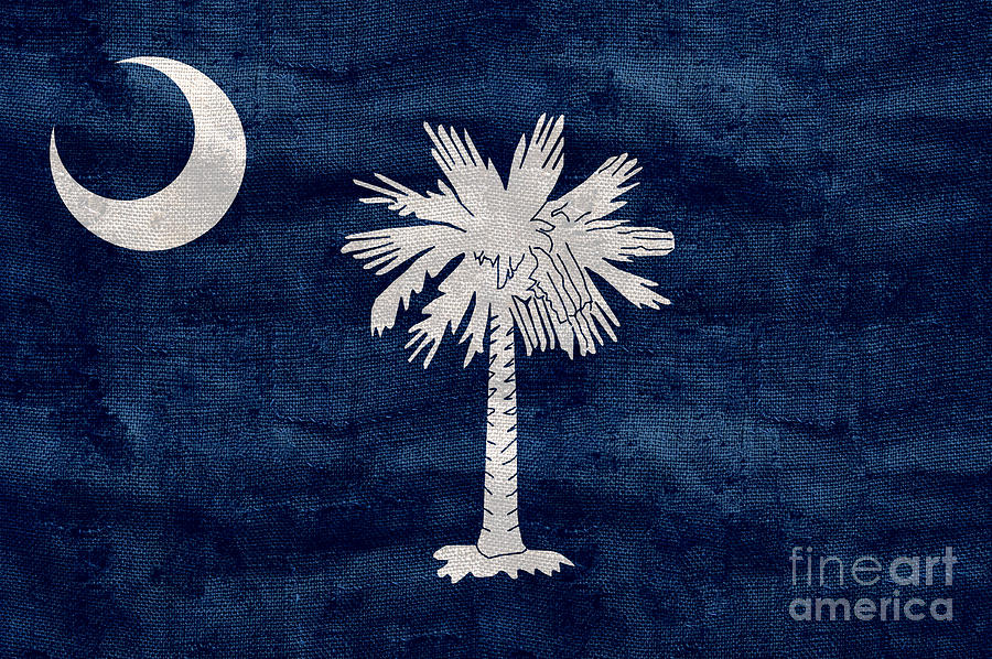 Vintage South Carolina Flag Photograph by Jon Neidert