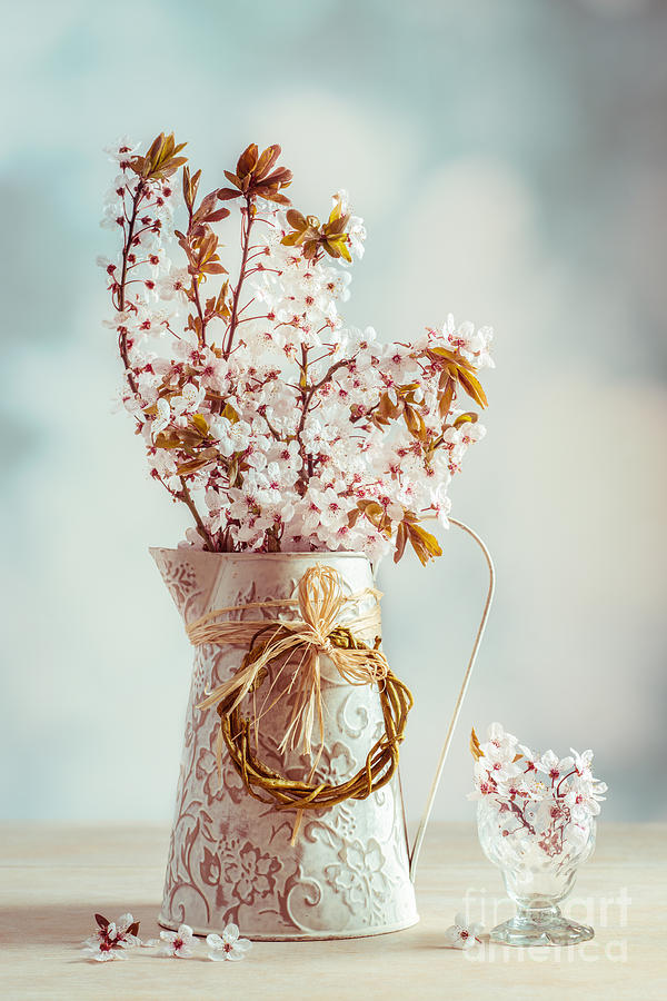 Vintage Photograph - Vintage Spring Blossom by Amanda Elwell