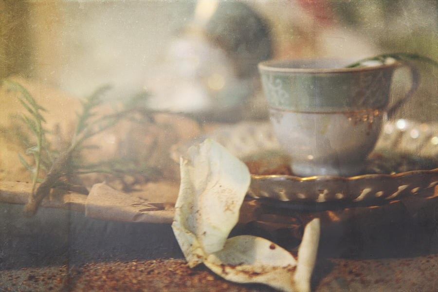 Vintage Tea Cup and Rose Petals  Photograph by Toni Hopper