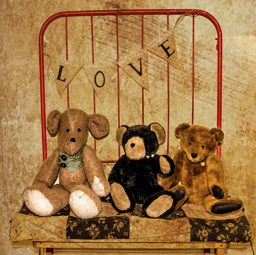 Vintage Teddy Bears Photograph by Cynthia Wolfe