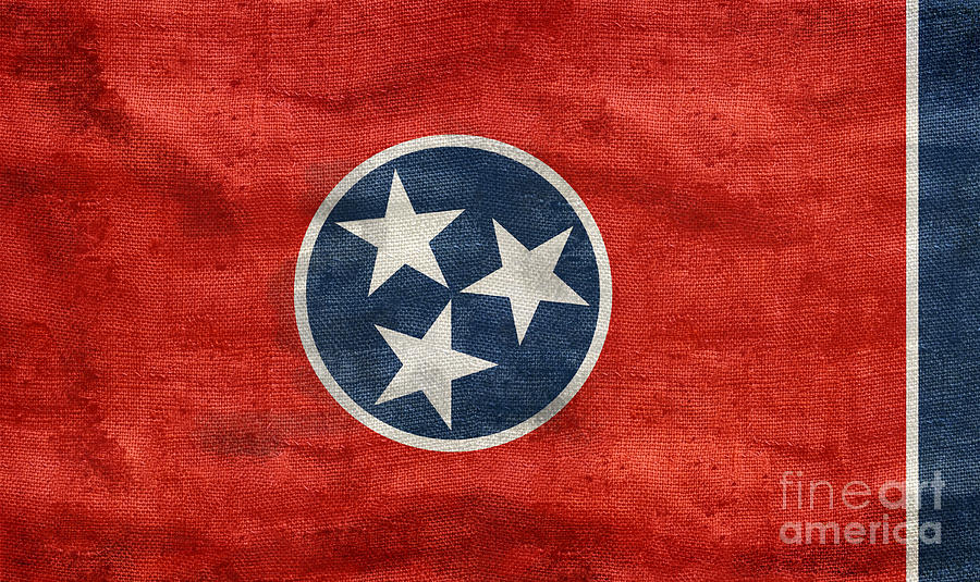 Vintage Tennessee Flag Photograph by Jon Neidert