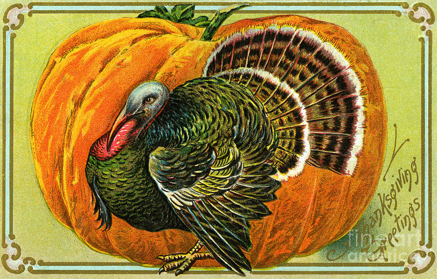 Turkey Painting - Vintage Thanksgiving Card by American School