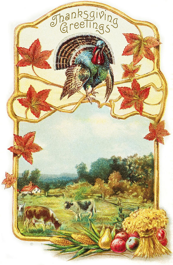 Vintage Thanksgiving Greeting Card Photograph by Remsberg Inc