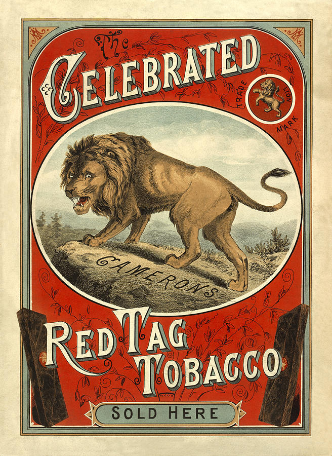 Vintage Tobacco Ad 1890 Photograph by Andrew Fare