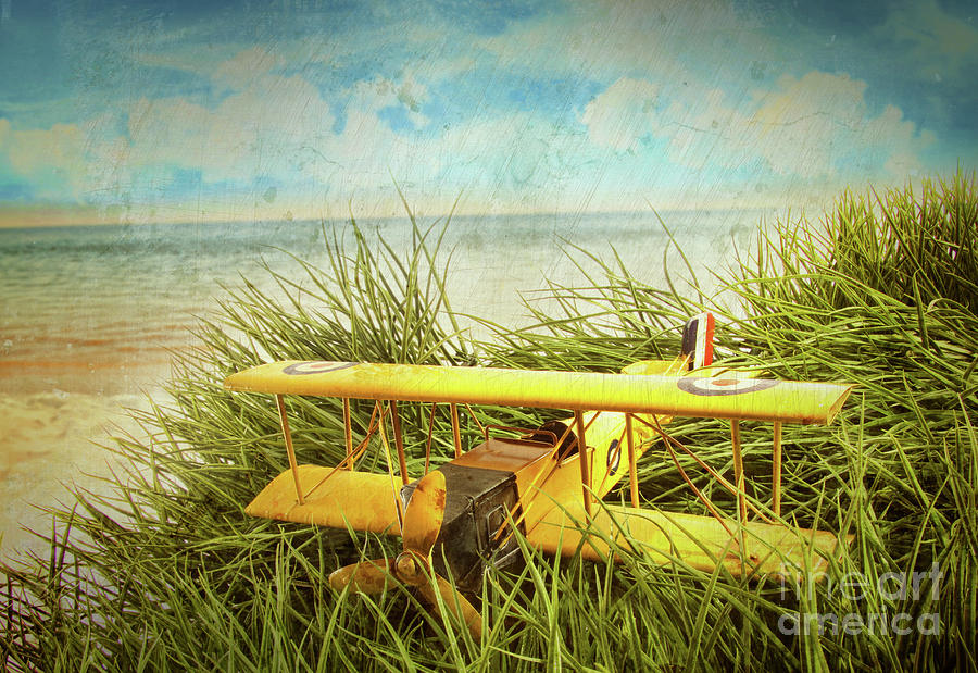 Vintage toy plane in tall grass at the beach Photograph by Sandra Cunningham