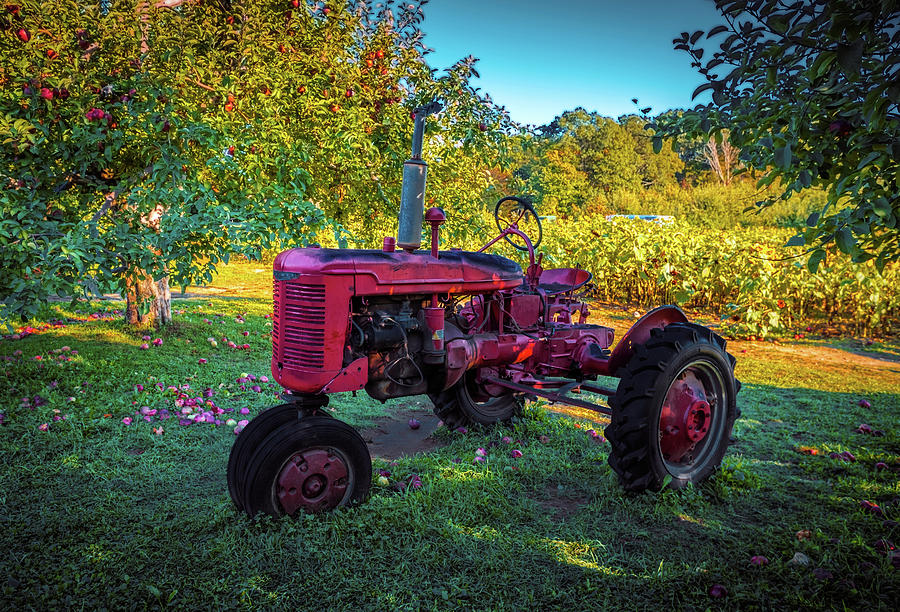 Vintage tractor at the farm Photograph by Lilia S
