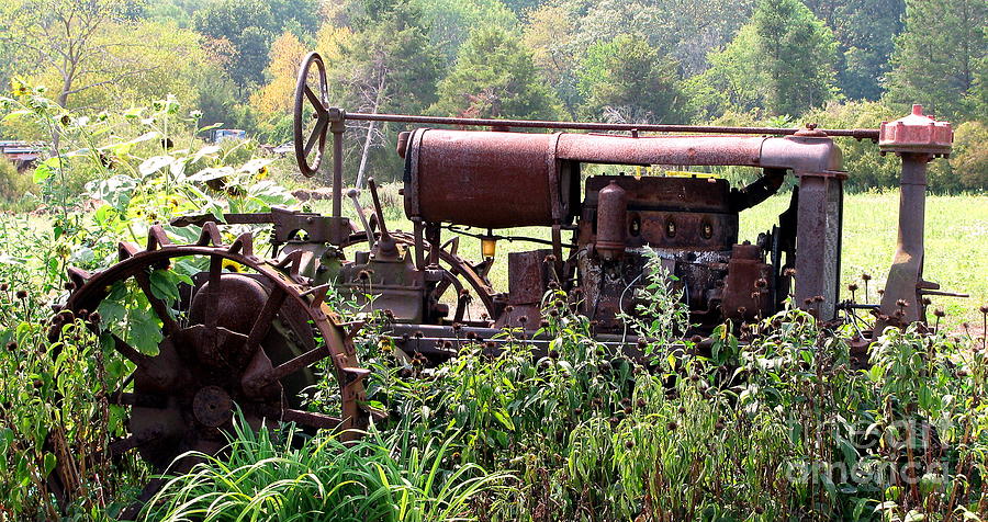 Vintage Tractor Photograph by Colleen Kammerer
