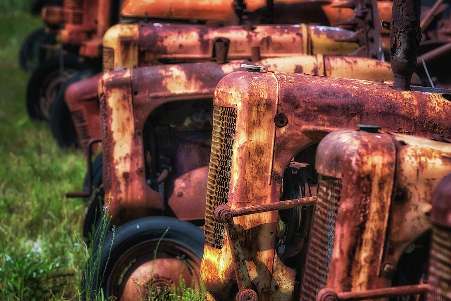 Vintage Tractors Photograph by James Barber