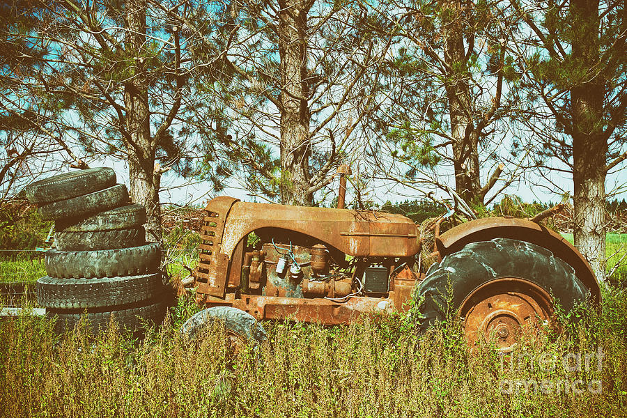 Vintage Tractors Of New Zealand 2 Photograph by Simon Bradfield - Fine ...