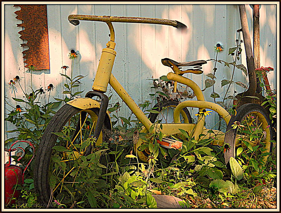 Vintage Tricycle Photograph by Kathy Barney