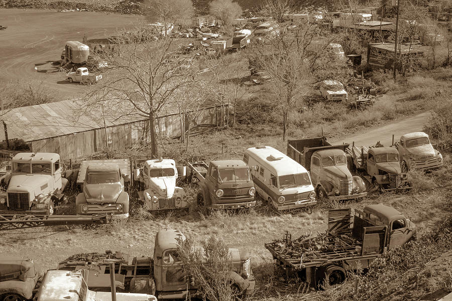 Vintage Truck Yard3 Photograph by Darrell Foster