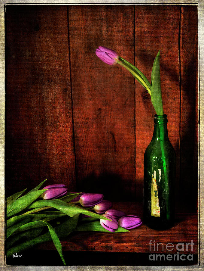 Vintage Tulips Photograph by Alana Ranney