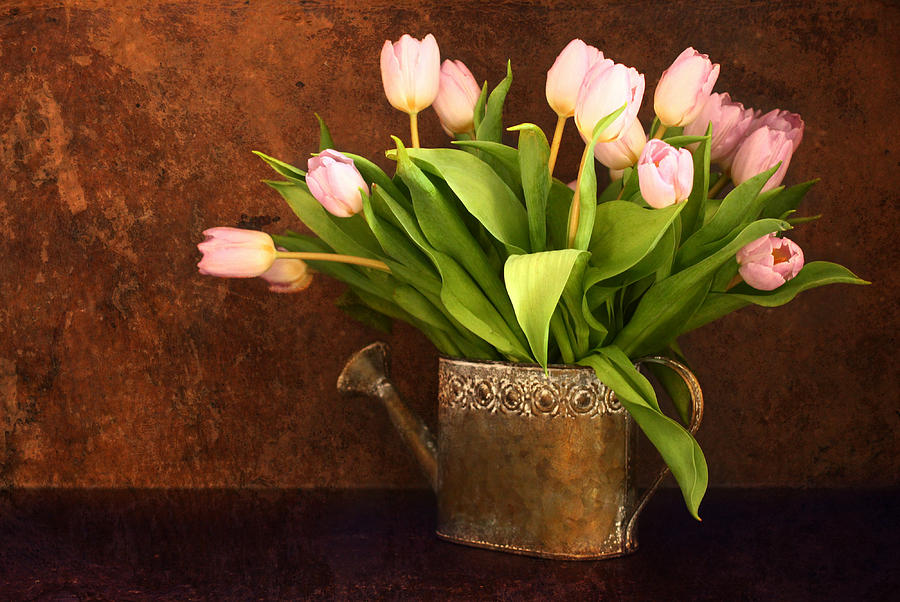 Vintage tulips Photograph by Heike Hultsch - Fine Art America