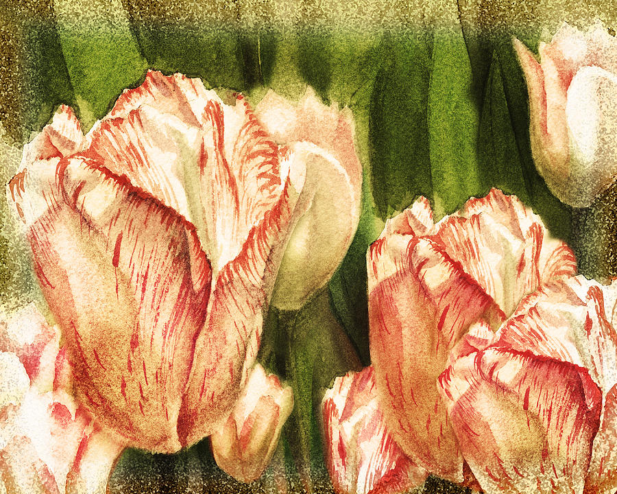 Vintage Tulips Watercolor Art Painting by Irina Sztukowski