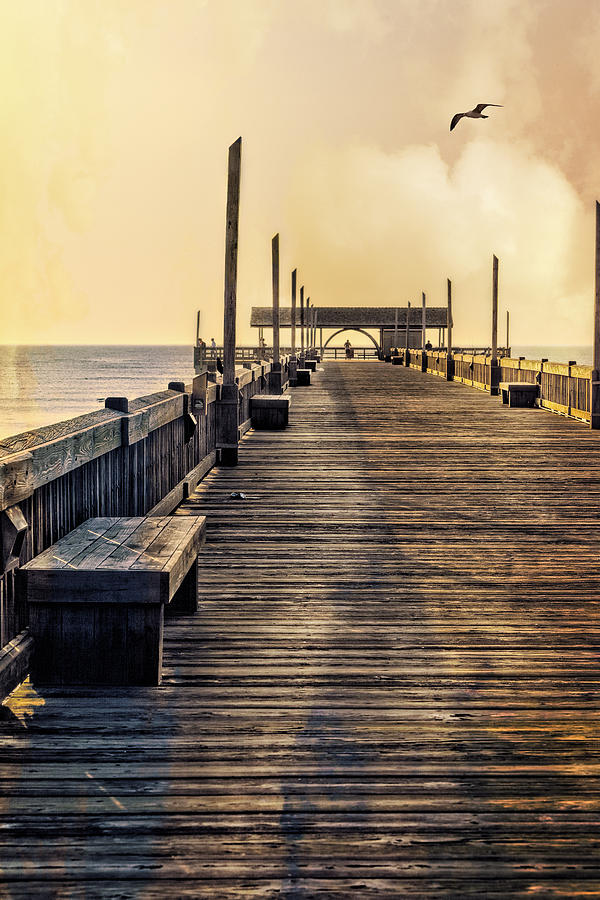 Vintage Tybee Pier Photograph by Diana Powell