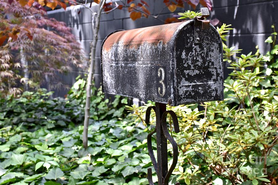 Vintage USPS mailbox Photograph by JL Images | Fine Art America