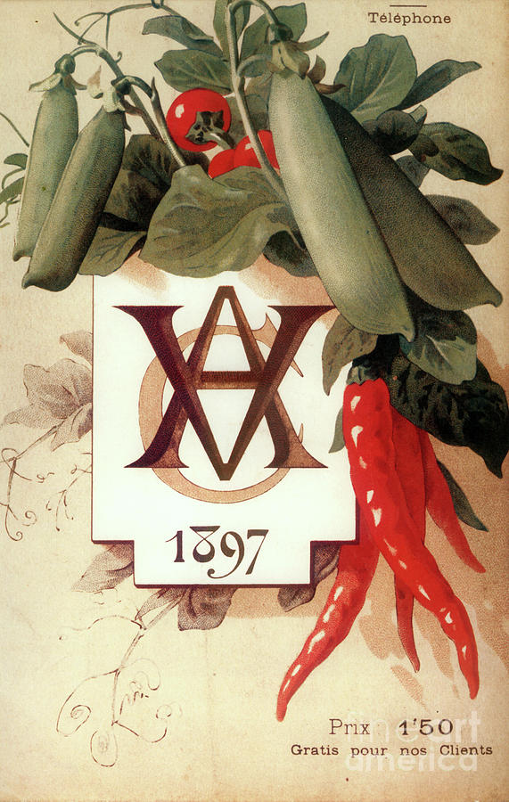 Veggies Painting - Vintage Vegetables Paris Poster Rare by Mindy Sommers