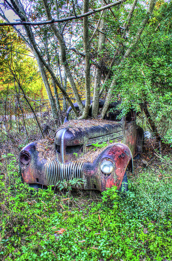 Vintage Vehicle Implaed By Trees Photograph
