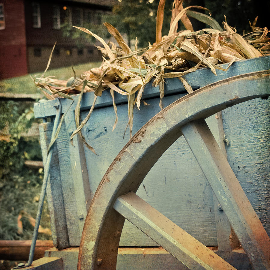 Vintage Wagon Wheel Photograph by Joann Vitali