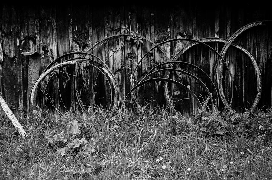 Wagon Wheels Photograph by M G Whittingham