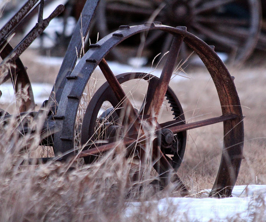 Vintage Wheel Photograph by Ann E Robson