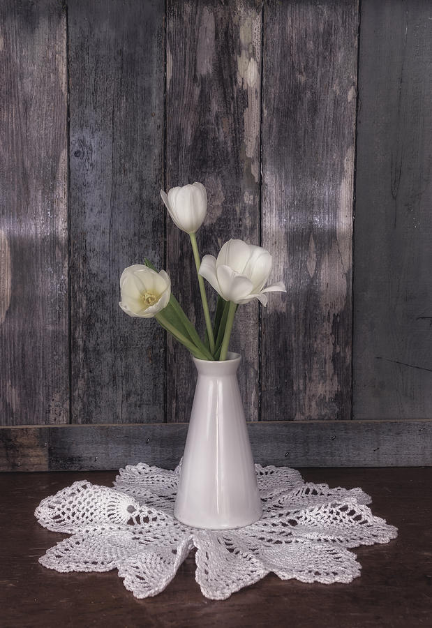 Vintage White Tulip Still Life Photograph by Kim Hojnacki