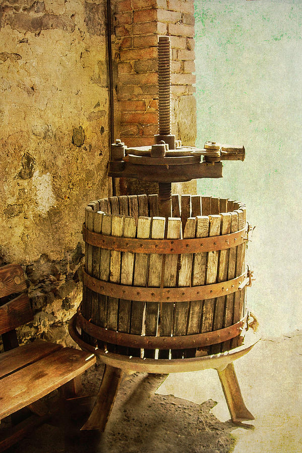 Vintage Wine Press Photograph by Sandra Selle Rodriguez