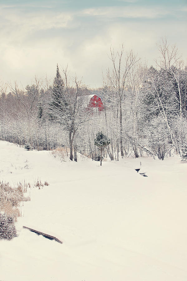 Vintage Winter Scene Print Photograph by Gwen Gibson