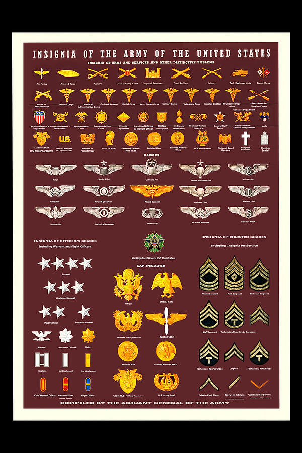 Vintage WWII US Army Insignia poster Photograph by Tom Prendergast