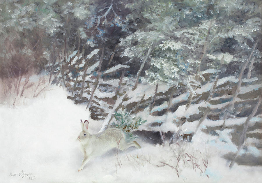 Winter Hare Near The Fence Painting By Bruno Liljefors - Fine Art America