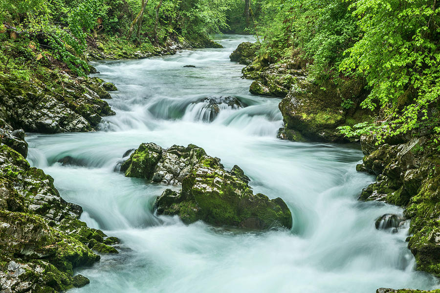 Vintgar Gorge Photograph by Lindley Johnson - Fine Art America