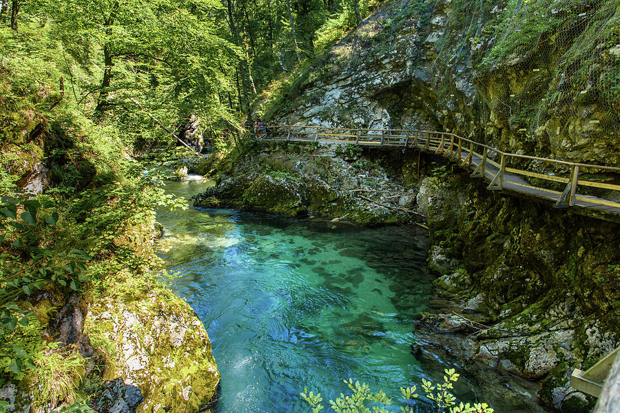 Vintgar Gorge. Slovenia Photograph