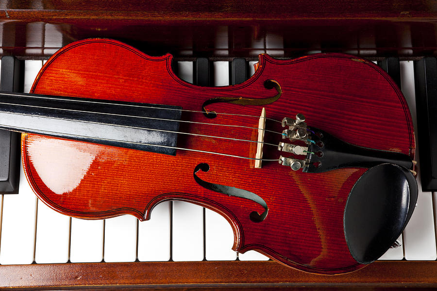 Violin Photograph - Viola on piano keys by Garry Gay
