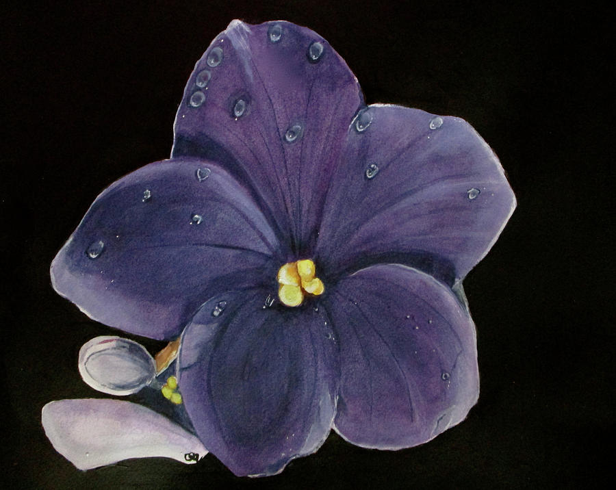 Flowers Still Life Painting - Violet by Carol Blackhurst