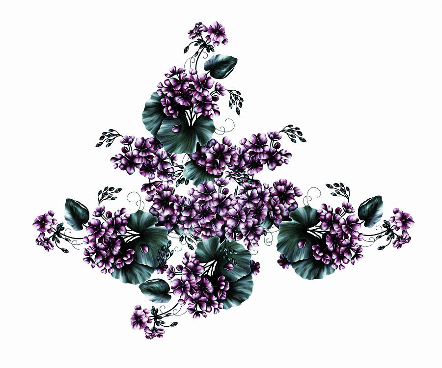 Violet Geraniums On White Digital Art