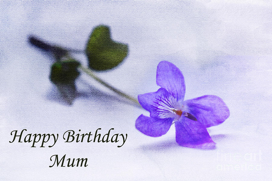 Nature Photograph - Violet Happy Birthday Mum by Terri Waters